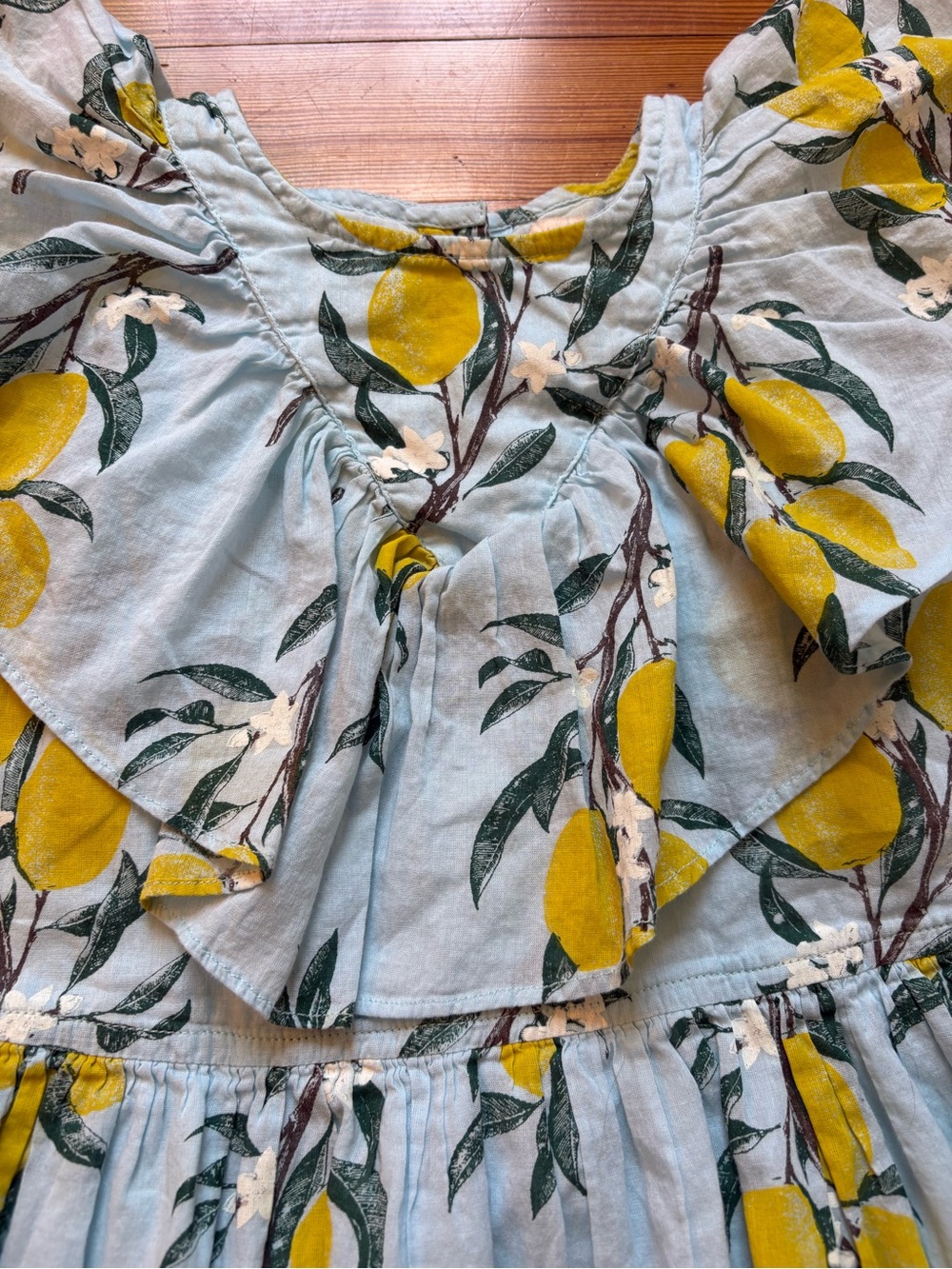 Pink Chicken | Lemon Branch Raphaela Dress | Ruffle | Tiered | Cotton - Picture 5 of 11
